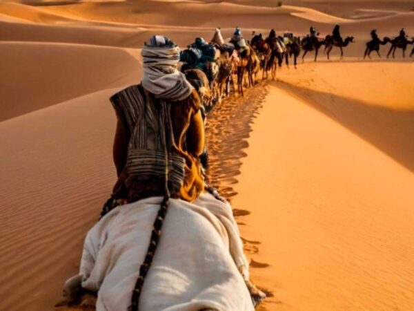 Sahara day trip - Image 4