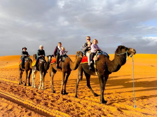 Sahara day trip