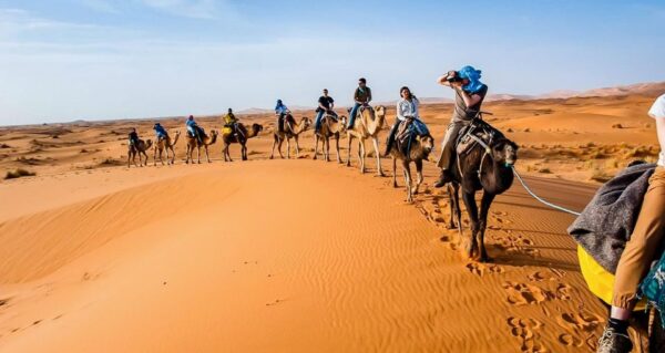Sahara day trip - Image 2