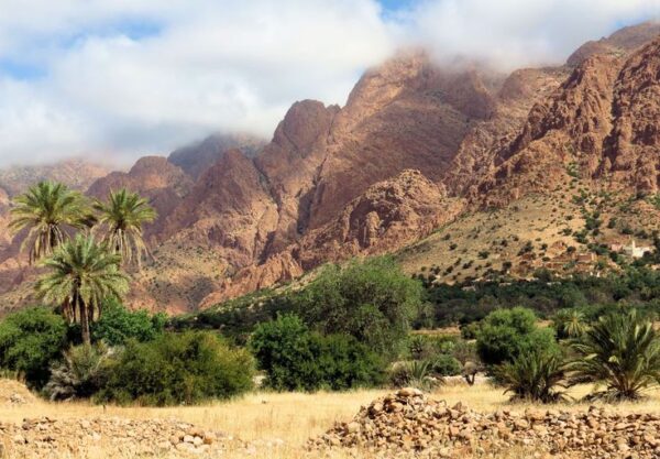 5 days trek in m'goun valley - Image 9