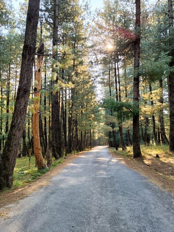 5 days trek in m'goun valley - Image 3
