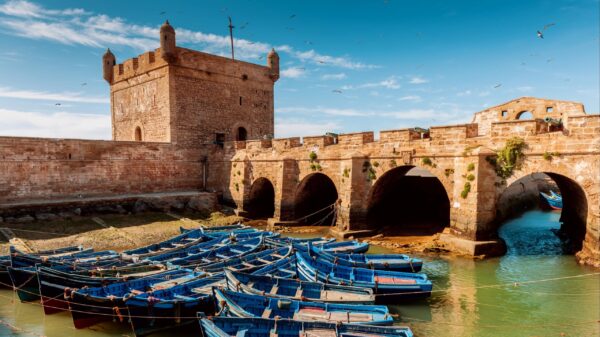 Essaouira day tour - Image 7