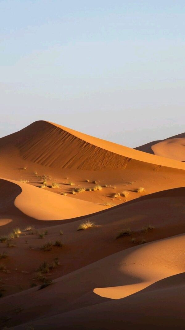 2 Day Tours Marrakech To Zagora - Image 5