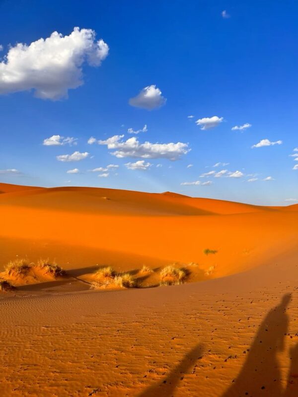 2 Day Tours Ouarzazate To Erg Chigaga - Image 3