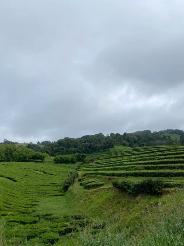3 valleys for 3 days trek - Image 4