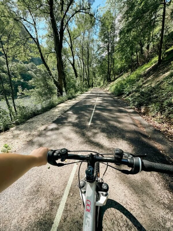 Trekking VTT