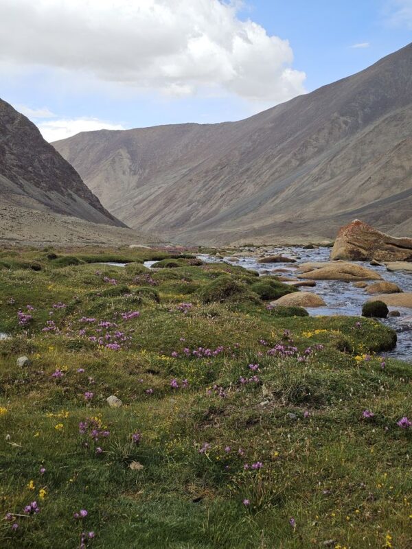 5 days trek in m'goun valley
